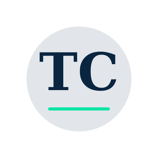 Toni Chimney Services logo